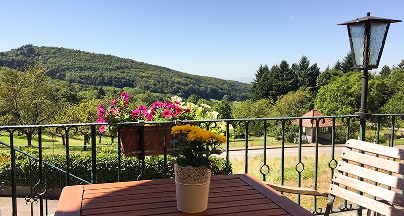 bild7 Landgasthof Grüner Baum, BadenweilerSehringen